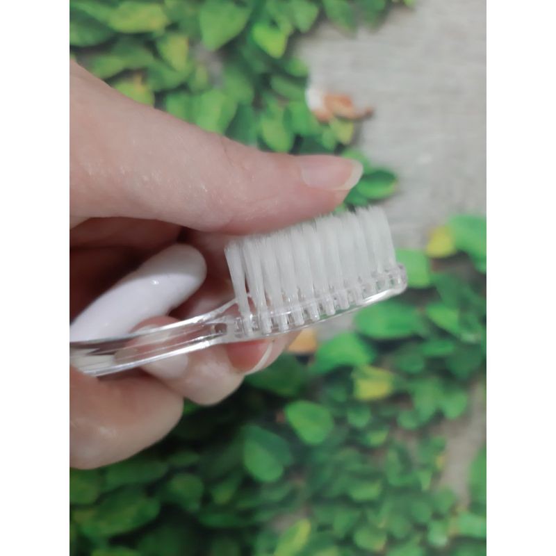 bàn chải kèm kem du lịch (sll)