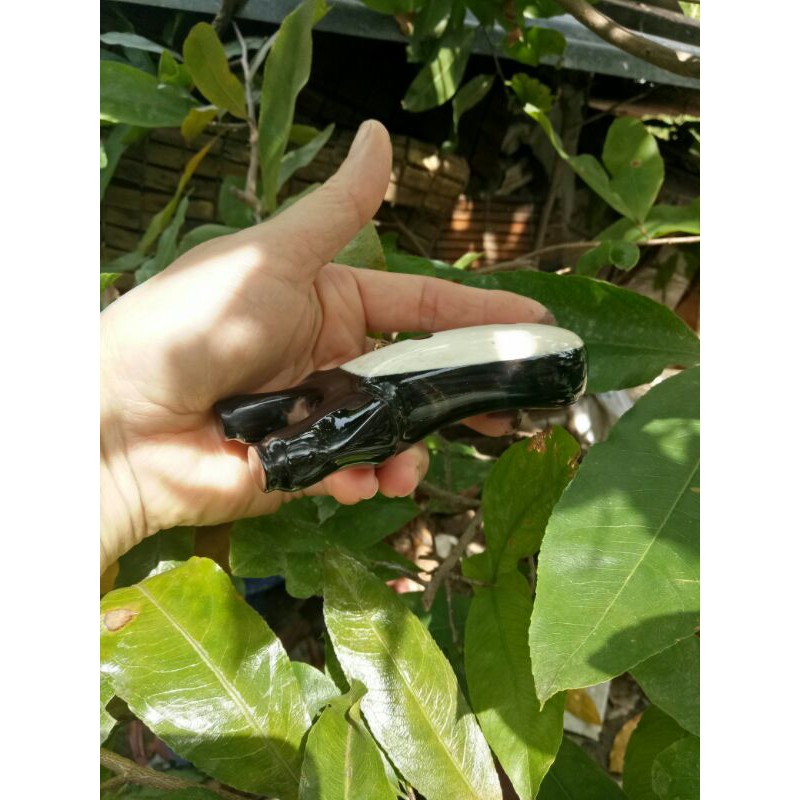 Ná sừng trâu, ghép sương sừng- chạc 6