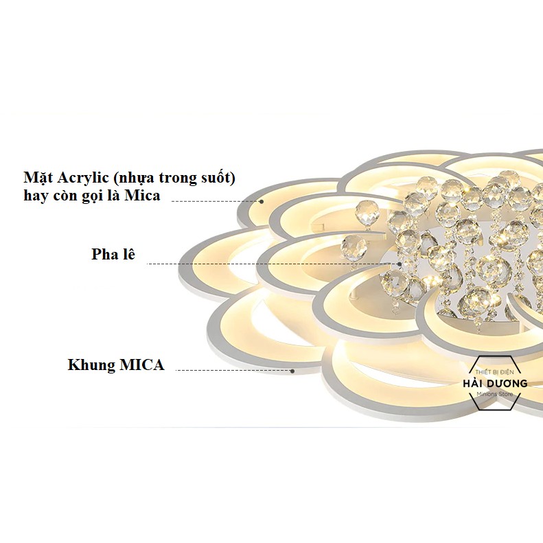 Đèn LED ốp trần hình hoa pha lê 16-20 cánh NT023 3 chế độ ánh sáng - Có điều khiển Từ Xa