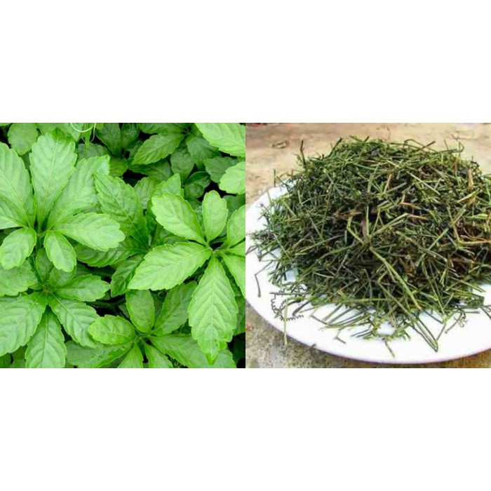 Combo 3kg Giảo Cổ Lam