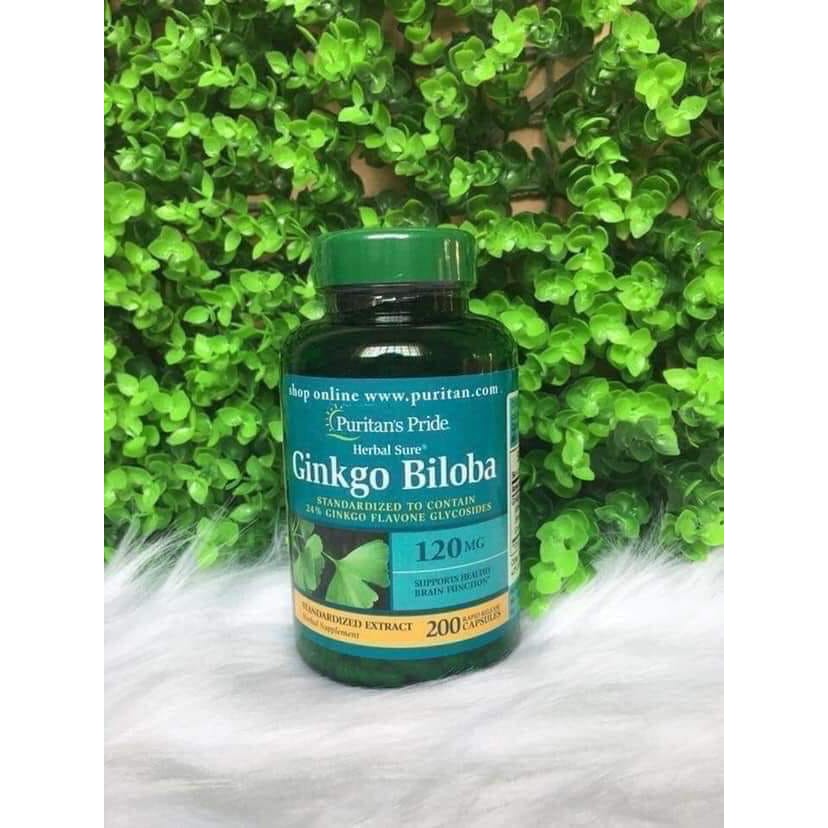 Ginkgo Biloba 120mg Puritan's Pride - Tuần Hoàn Não, Hoạt Huyết Dưỡng Não