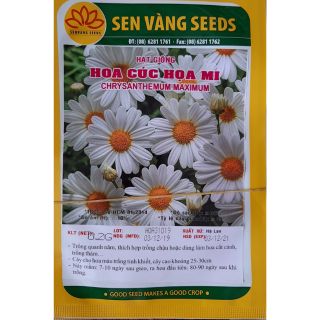 Hạt giống hoa cúc họa mi