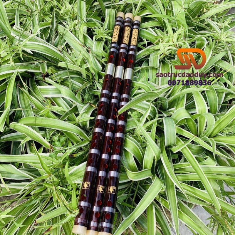 sáo dizi MUTONG MT10 giả gỗ mun khớp kép sơn lòng
