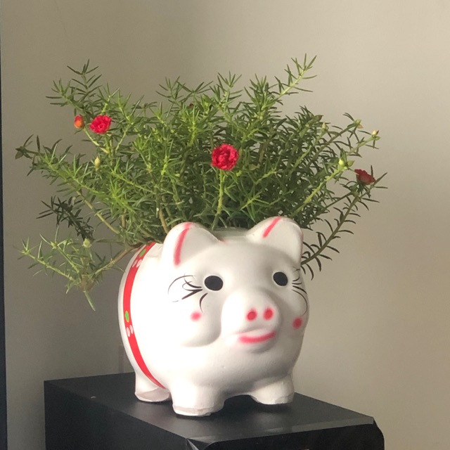 Ipad/điện thoại/ phụ kiện rẻ