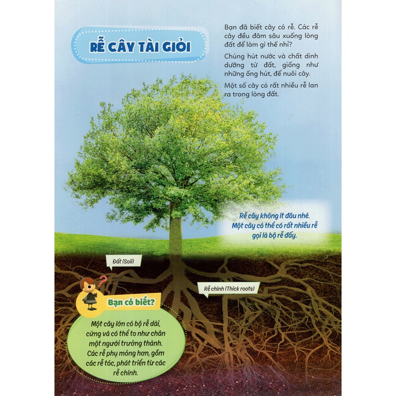 Sách Học Vui Hiểu Rộng Biết Nhiều- Cây Cối Diệu Kì