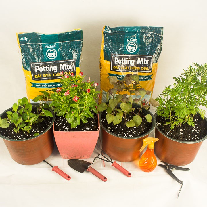 Đất trồng cây tổng hợp: đất sạch, xơ dừa