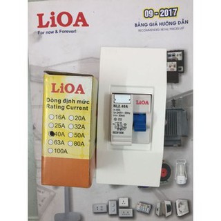 Combo hộp chứa aptomat gắn nổi + Aptomat chống giật Lioa 25A - 32A - 40A dòng rò 30 mA