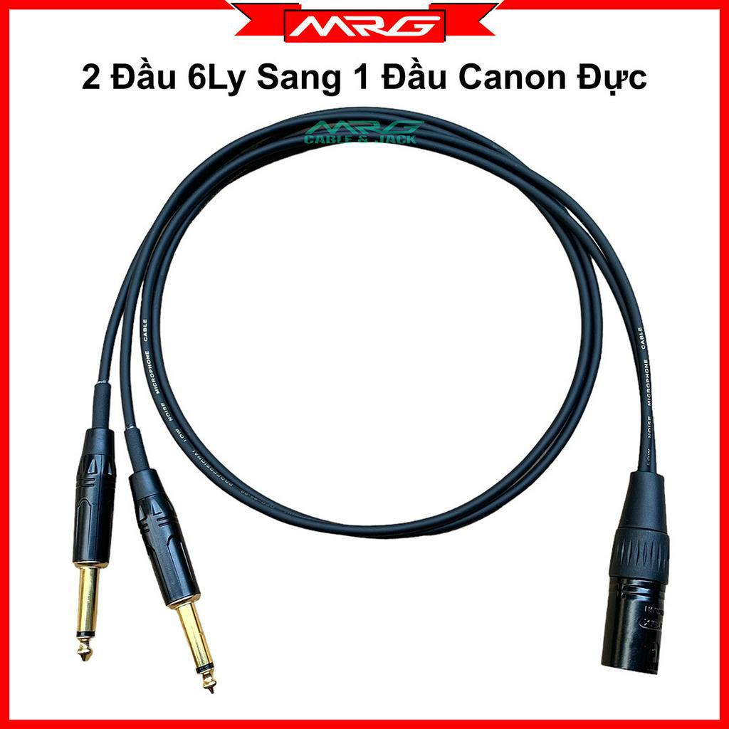 Dây Canon Đực Ra 2 Đầu 6Ly, dài 0.5met và 1met, giá 1 dây.