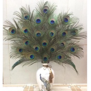 [mắt to]30 lông công phong thuỷ tài lộc ~50cm