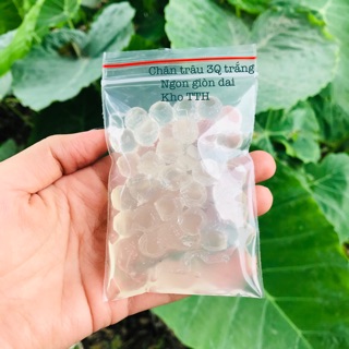 Trân châu 3Q gói dùng thử