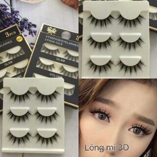 Mi chồn 3d