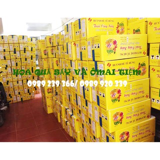 Khoai lang tím Tề Hùng