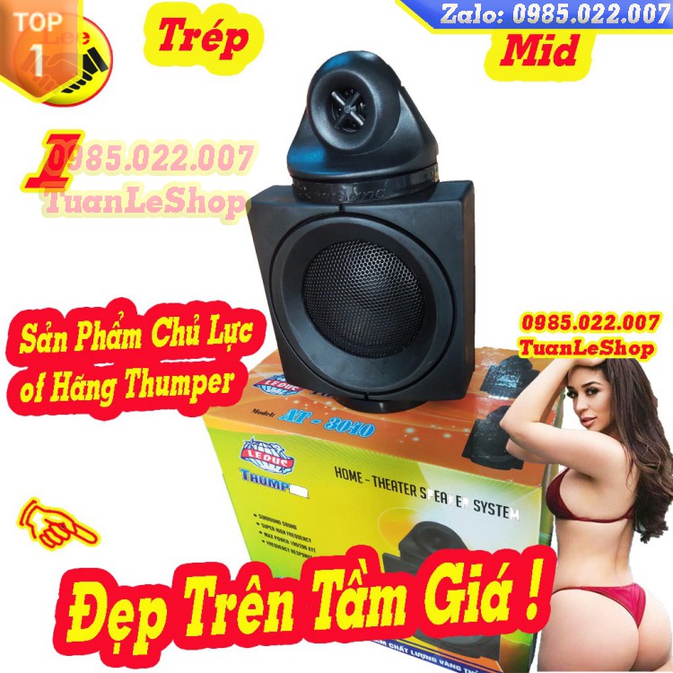 LOA TRUNG VÀ TREBLE AT3040 -GẮN TRỰC TIẾP AMPLI -  GIÁ 1 ĐÔI AT 3040