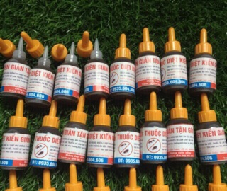 Thuốc diệt kiến dán