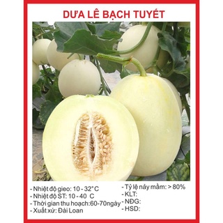 Hạt giống Dưa Lê Bạch Tuyết - 20 Hạt hạt giống bốn mùa