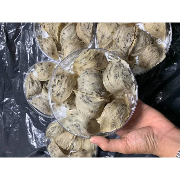 Hộp nhựa tròn đựng yến 30/50/100g HÀNG SẴN KHO