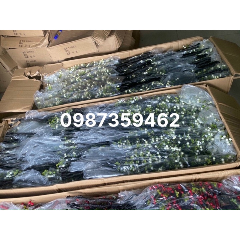 Cành bi mút trang trí nhà cửa hót hit mẫu mới 2022 (xưởng chuyên sỉ)