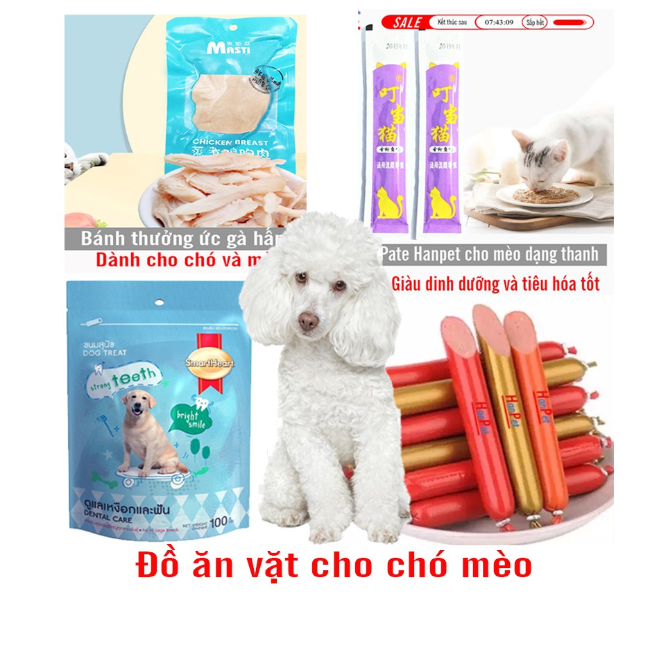 Đồ ăn vặt cho chó mèo (4 loại) gồm xúc xích pate bánh thưởng thịt gà hấp cho thú cưng