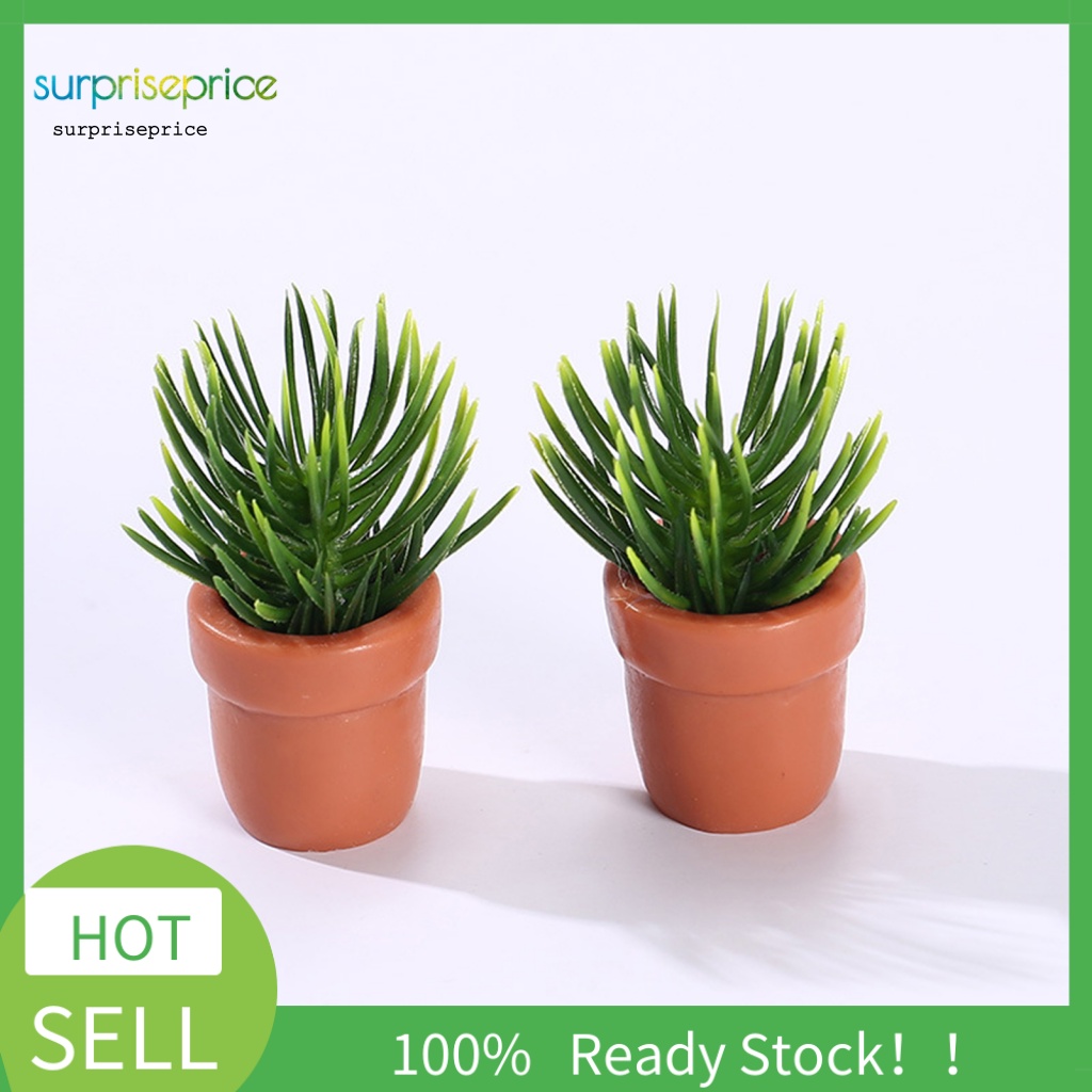 Mô Hình Chậu Cây Mini Bằng Nhựa Resin Dùng Trang Trí Tiểu Cảnh