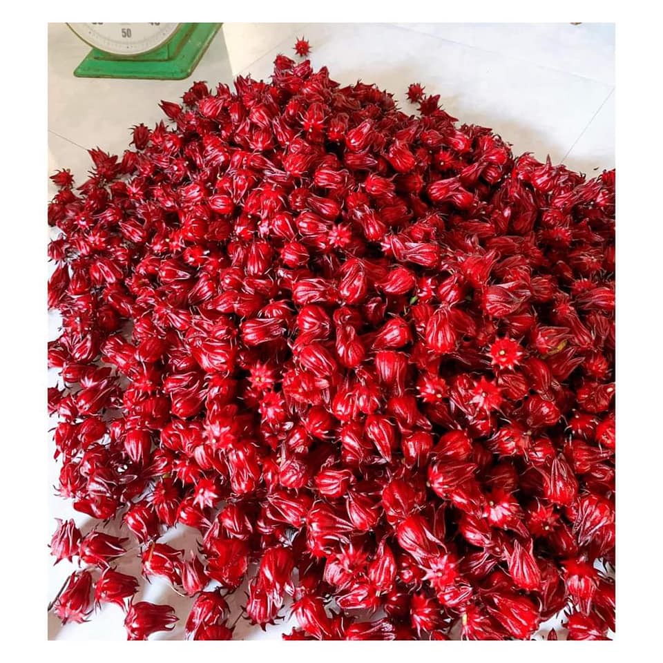 1kg Hoa Atiso đỏ tươi (Hoa bụp giấm/Hoa Hibiscus)