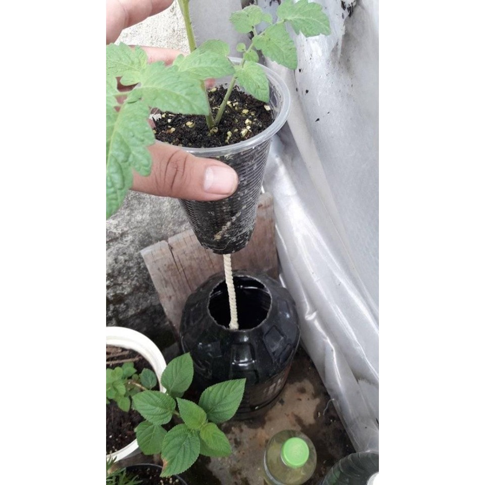 AZGRO Dinh Dưỡng Cho Cây Trồng - 1 bộ 2 chai