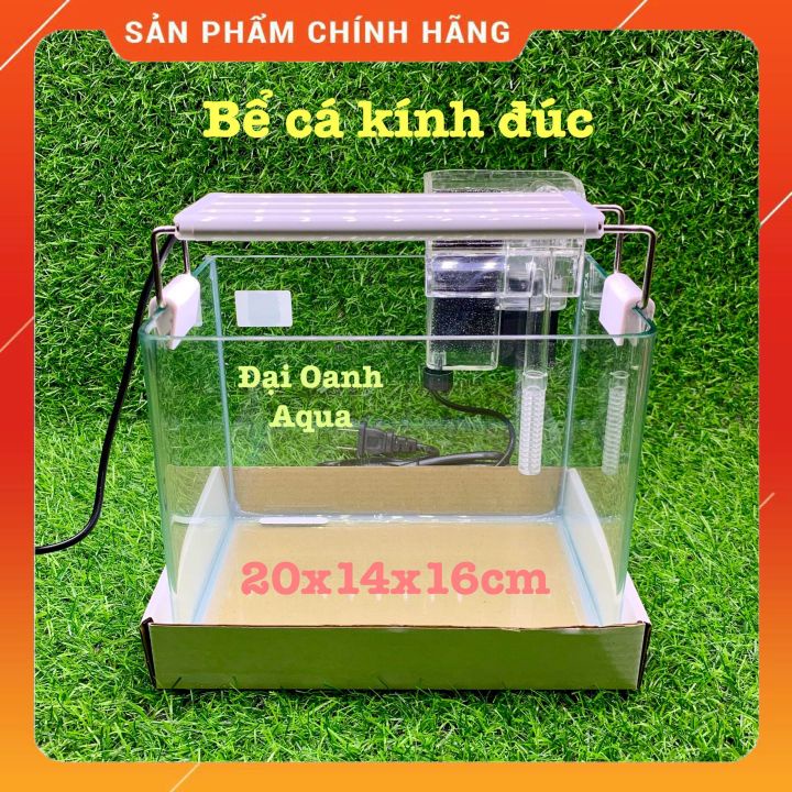 Bộ Bể Cá Kính Đúc 20cm Mini Để Bàn - Bể Cá Cảnh Mini