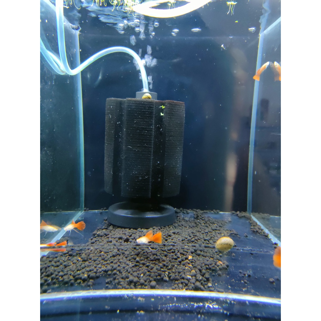 Lọc Vi Sinh Bio Đen Xy180, Xy280, Xy380 Chuyên Dụng Cho Hồ Cá Cảnh