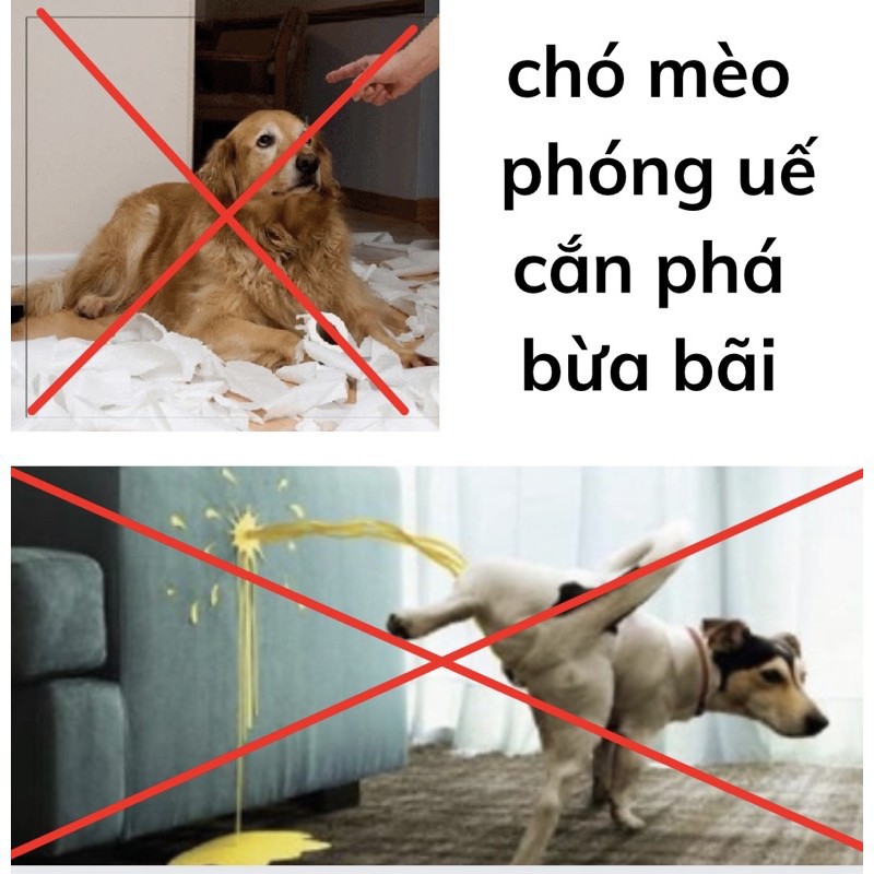 DUNG DỊCH XUA ĐUỔI VÀ NGĂN CHẶN CHÓ MÈO THÚ CƯNG Phóng uế bừa bãi và Cắn phá đồ đạc Fay repell Chai 400ml Xuất xứ VN