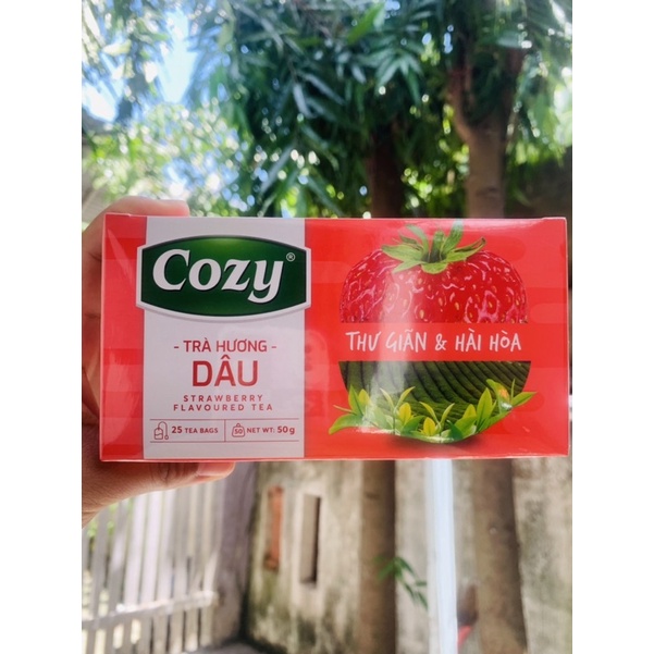 Trà Dâu Cozy (túi lọc)