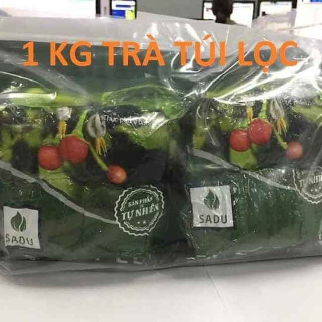 Trà túi lọc Cà Gai Leo Sadu mát gan I giải độc gan (1kg)