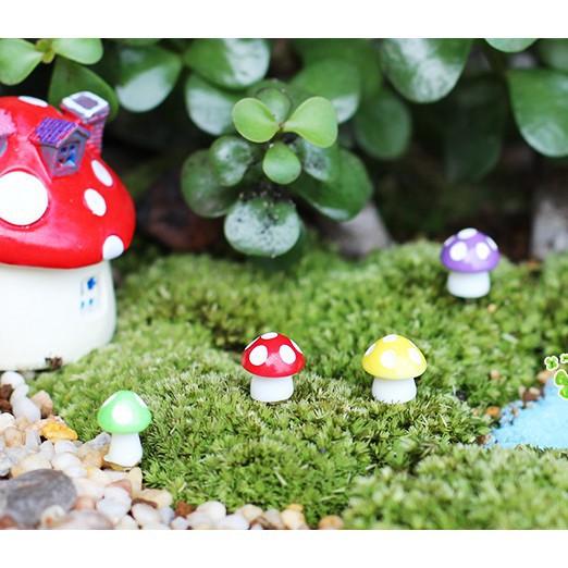 Nấm Mini - Phụ Kiện Trang Trí Tiểu Cảnh Sen Đá/Bonsai, Terrarium