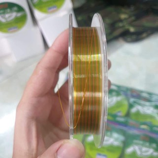 Cước câu cá đaiwa
