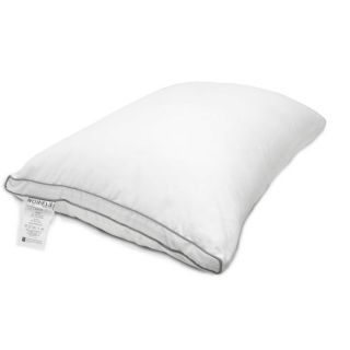 Ruột gối 45*65 SOFT EVERON