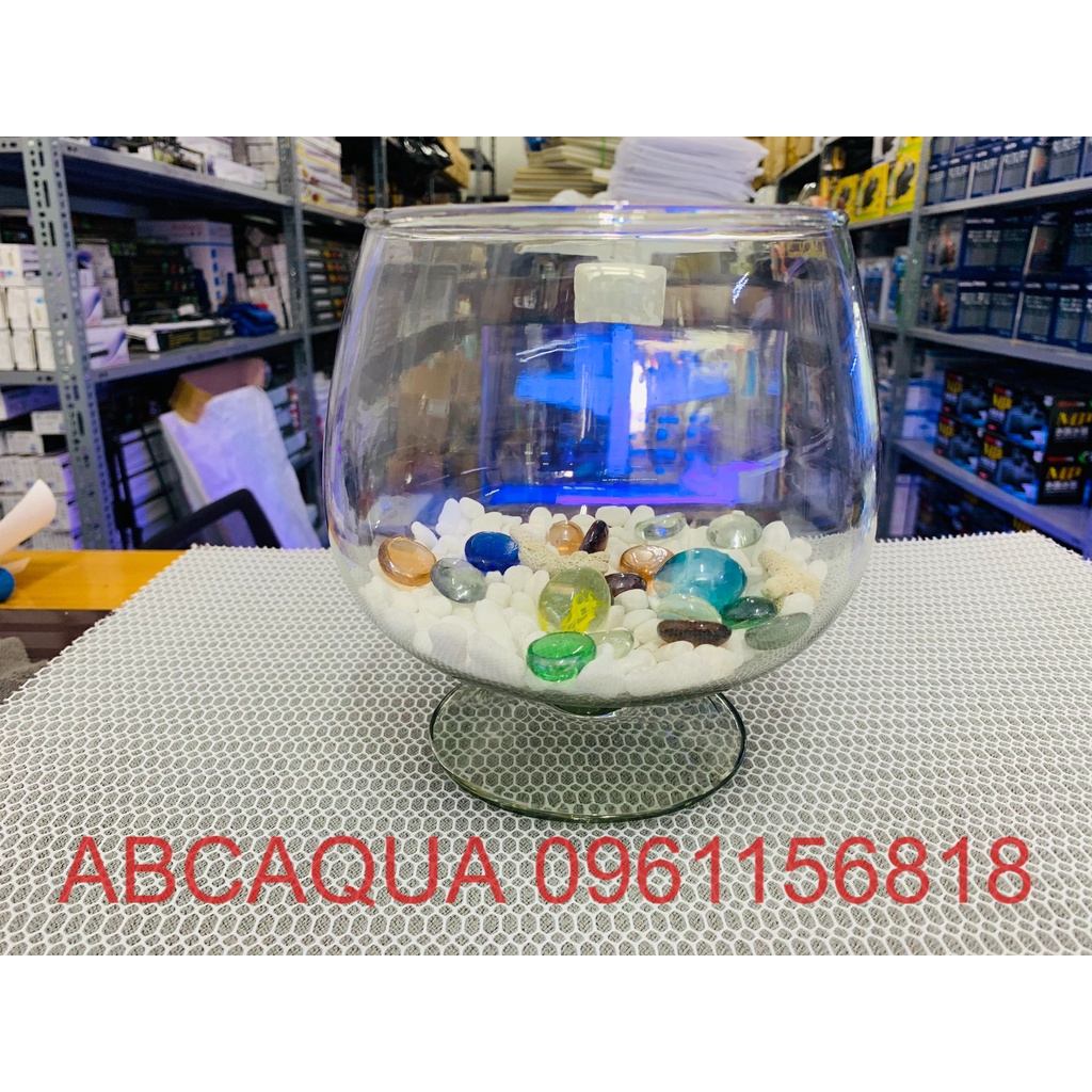 Bể cá cảnh thủy sinh size mini