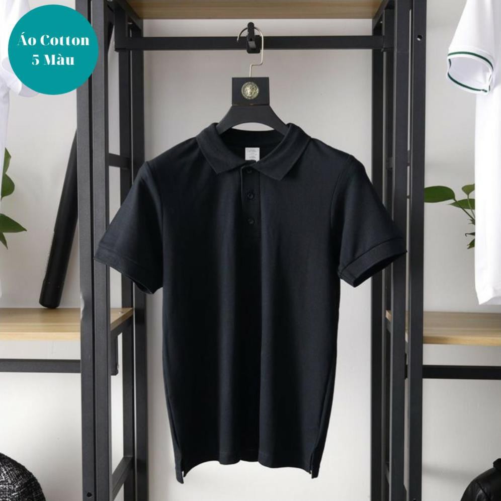 Áo Polo nam trơn , áo phông nam chất cá sấu loại đẹp VNXK AT01 | BigBuy360 - bigbuy360.vn