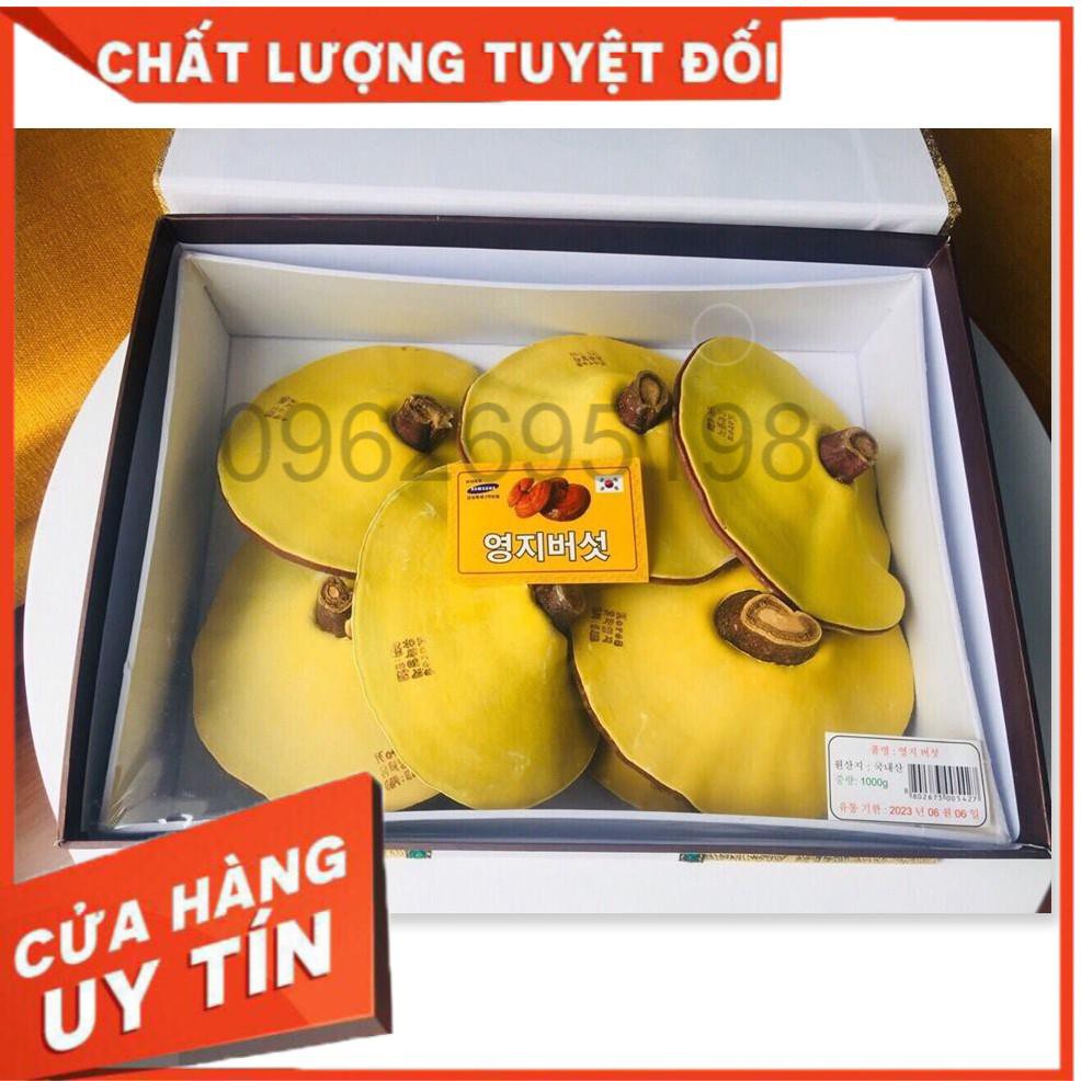 Nấm linh chi Uhak Hàn Quốc hộp kim tuyến 1kg