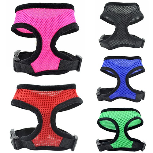 Áo Lưới Mềm Mại Cho Thú Cưng