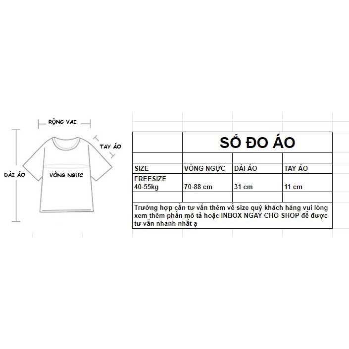 Áo Hoa Nhí 🎀FREESHIP🎀 Áo Peplum trễ vai hoa nhí ulzzang Hàn Quốc xinh xẻo C42 - Maoshop | BigBuy360 - bigbuy360.vn