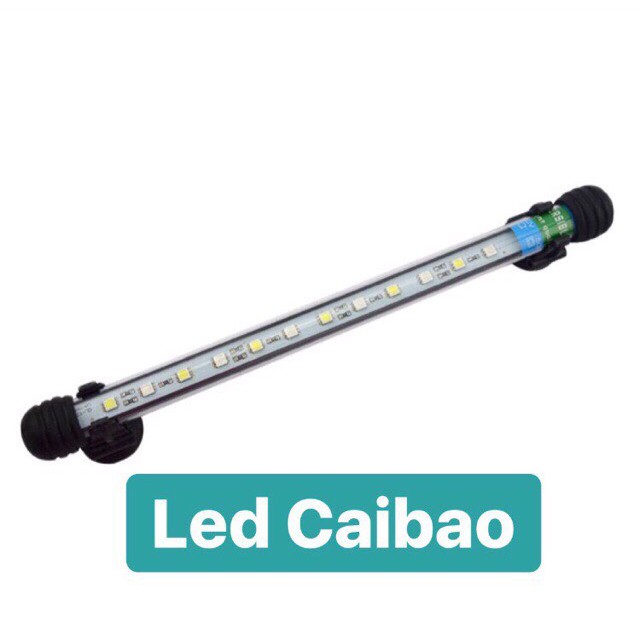 Bể cá mini khung gỗ Full combo