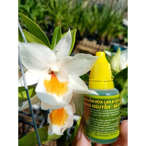 Chế Phẩm Hùng Nguyễn 20ml, KÍCH RỄ, KÍCH KEIKI, BỔ SUNG NPK, SÁT KHUẨN – KHÁNG BỆNH