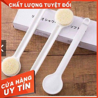 Cây cọ lưng muji nhật bản