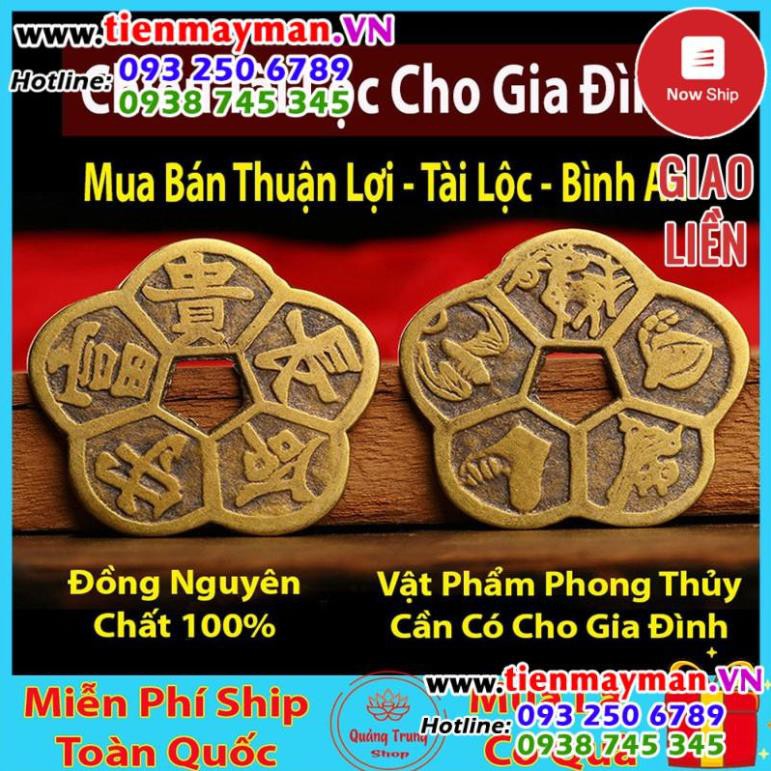 Đồng Tiền Hoa Mai ⭐FREESHIP⭐ Kim Tiền Tài Lộc