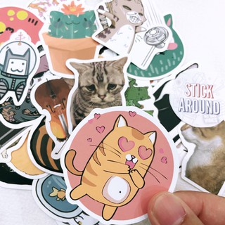 [Mèo cute] Set sticker hình dán mèo chibi cực dễ thương, nhám chống nước, dán laptop, điện thoại, nón bảo hiểm, guitar