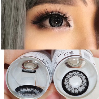 Combo lens King Gray trọn bộ