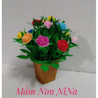 Chậu hoa hồng 15 bông