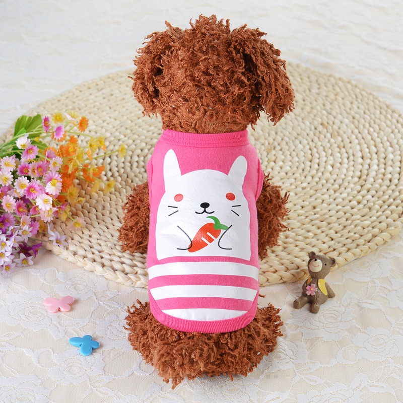 Bộ Đồ Thời Trang 27 Món Vải Lông Cừu Sữa Ếch Chihuahua Dễ Thương Cho Cún Cưng