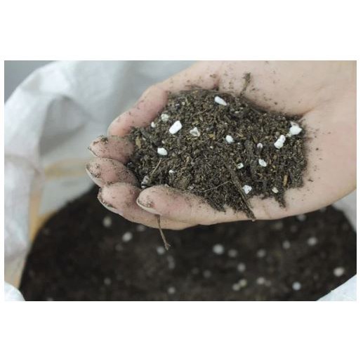 Đất sạch cao cấp trồng chậu 1kg - Nguồn dinh dưỡng đặc biệt cho cây trồng chậu, sử dụng lâu dài không cần thay đất