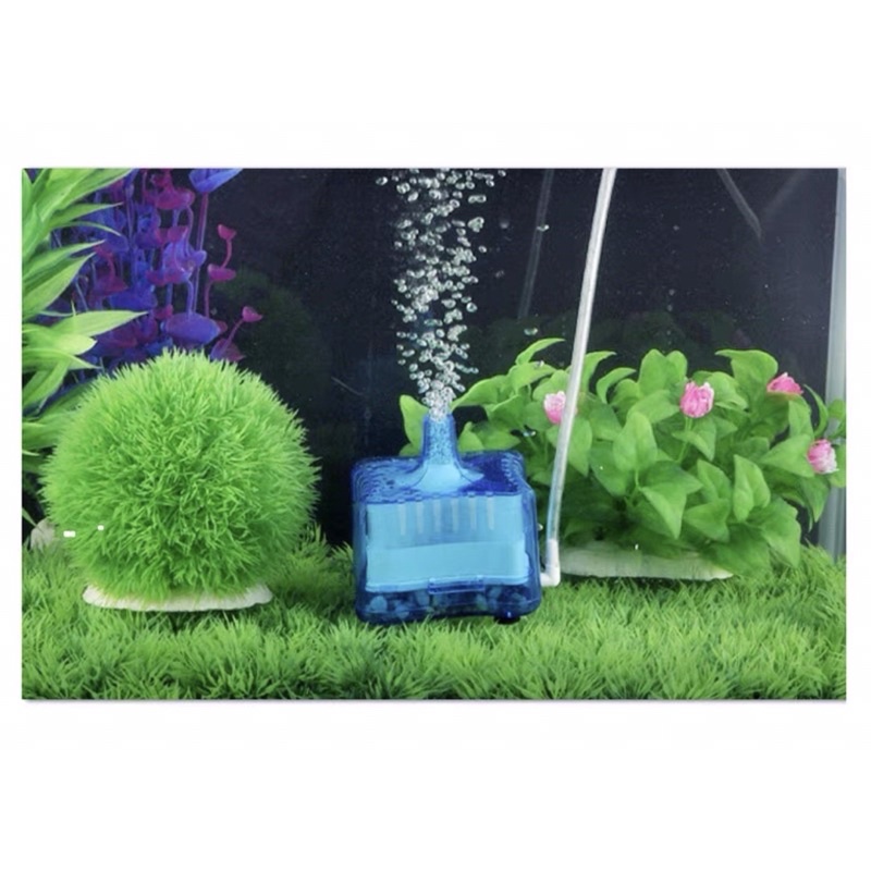 Lọc Sủi Vi Sinh SHENGANG Tạo Oxy Lọc Nước Cho Hồ Cá Tép Thuỷ Sinh | Lọc Vi Sinh Tích Hợp Vật Liệu Lọc