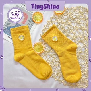 Vớ Cao Thêu Hoa Cúc Trắng Đằm Thắm Có Nhiều Màu Thoáng Khí Thoải Mái (TinyShine)