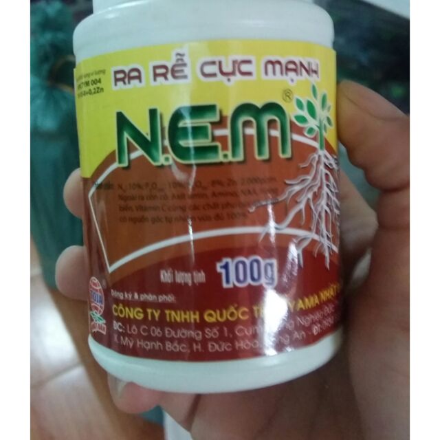 Phân kích rễ CỰC MẠNH